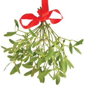 Mistletoe bunch hanging from a red ribbon isolated on white XXXL