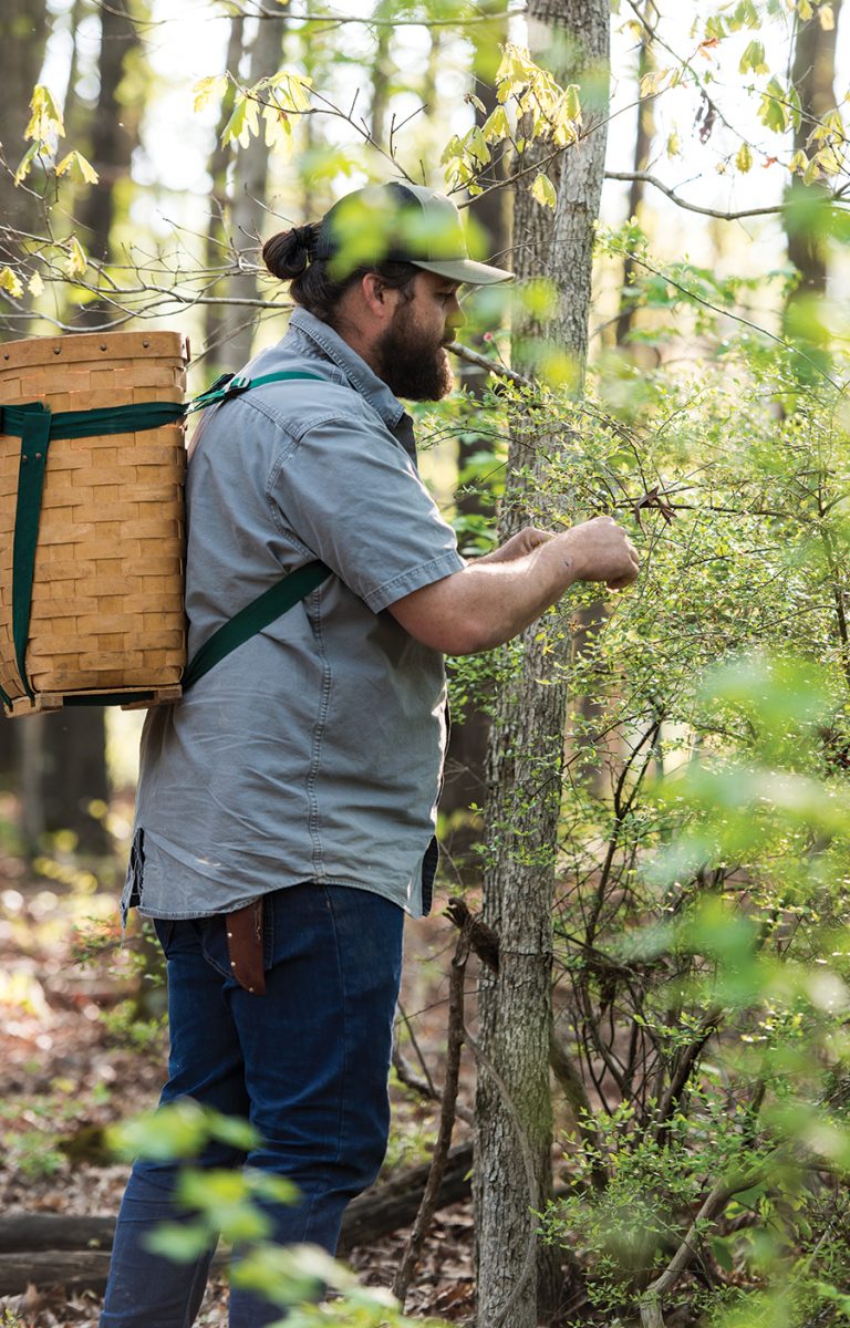 Juneberry Ridge | O.Henry Magazine